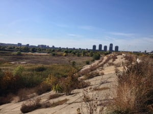 c6ecf5a1-15ce-4271-a24d-01499b06636e